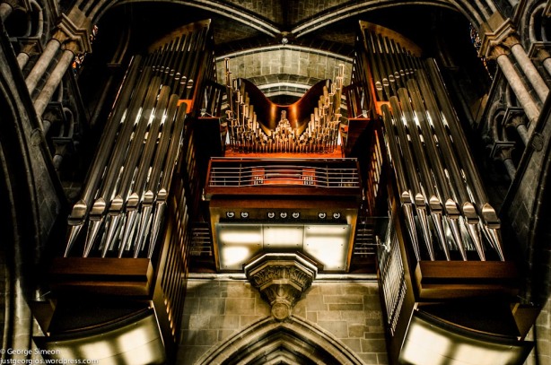 Organ view from ground